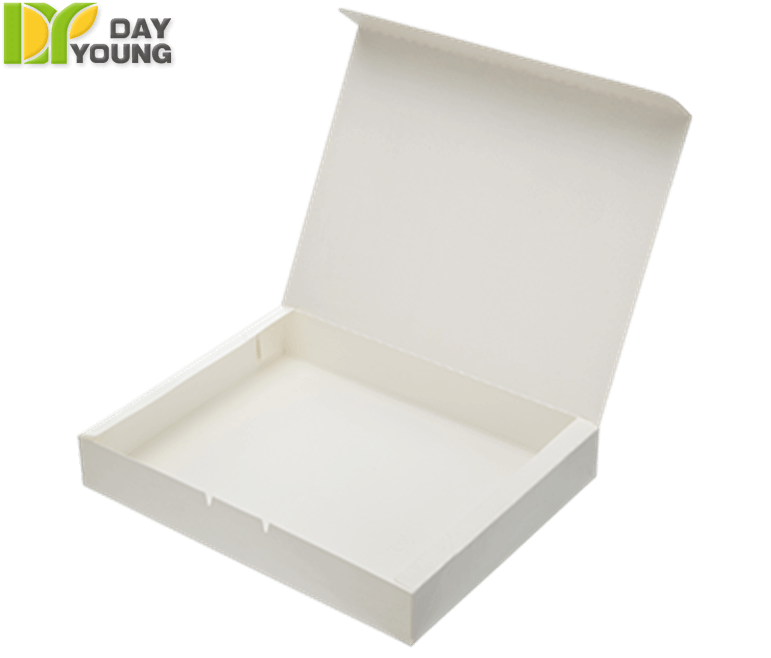 Disposable Dishes｜Extra Large Snack Box｜Disposable Cups Manufacturer and Supplier - Day Young, Taiwan